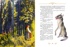 Сказки. Бр. Гримм (илл. Н. Устинова), Отрывок из книги