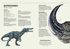 Динозавры в натуральную величину, Отрывок из книги