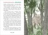 Ванини - королева львов. Комплект из 4-х книг, Отрывок из книги