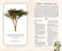 Тайный язык деревьев, Отрывок из книги