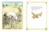 Сорочьи сказки, Отрывок из книги