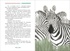 Ванини - королева львов. Комплект из 4-х книг, Отрывок из книги