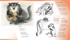 Полное собрание котов (илл. Чижикова), Отрывок из книги