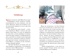 Щелкунчик и Мышиный король, Отрывок из книги