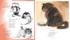 Полное собрание котов (илл. Чижикова), Отрывок из книги