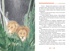 Ванини - королева львов. Комплект из 4-х книг, Отрывок из книги