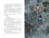 Императорские коты-защитники. Охотники за тенями, Отрывок из книги
