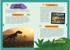 Динозавры. Детская энциклопедия (в коробке), Отрывок из книги