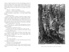 Крестоносцы, Отрывок из книги
