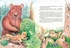 Большая книга сказок, Отрывок из книги