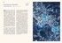 Кругосветный атлас аномальных зон и секретных баз, Отрывок из книги