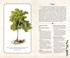 Тайный язык деревьев, Отрывок из книги