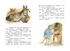 Тафити и летающая корзина, Отрывок из книги