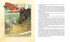 Чёрный Красавчик, Отрывок из книги