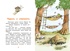 Тафити и летающая корзина, Отрывок из книги
