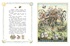 Сорочьи сказки, Отрывок из книги