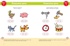 Полный годовой курс занятий для детей 2-3 лет, Отрывок из книги