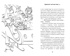 Рождественские приключения Деда Мороза. Сани, олени и прочие неприятности, Отрывок из книги