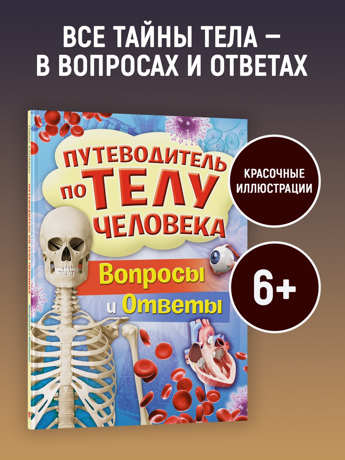 Промо материал к книге "Путеводитель по телу человека. Вопросы и ответы" №0