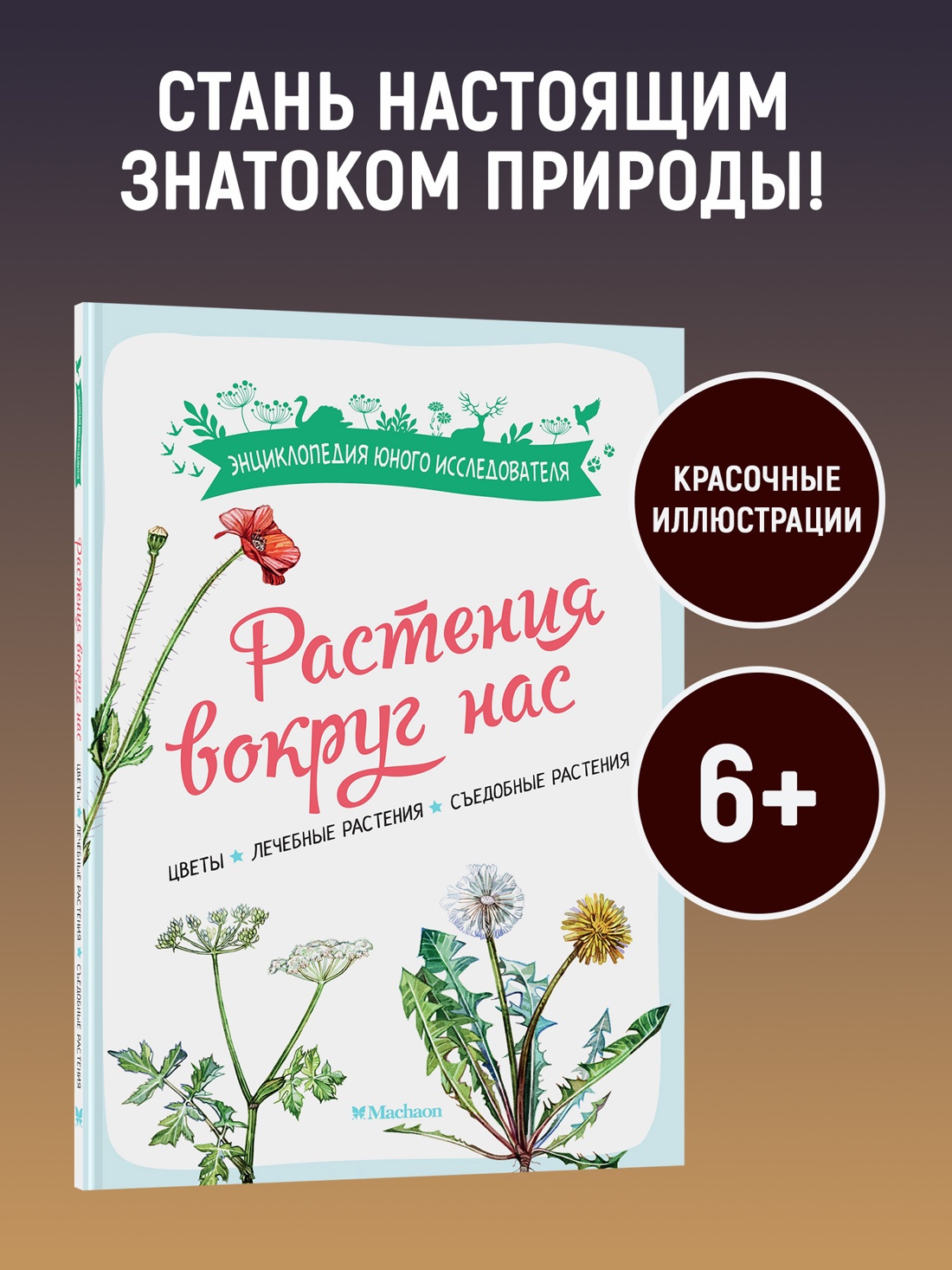 Промо материал к книге "Растения вокруг нас" №0
