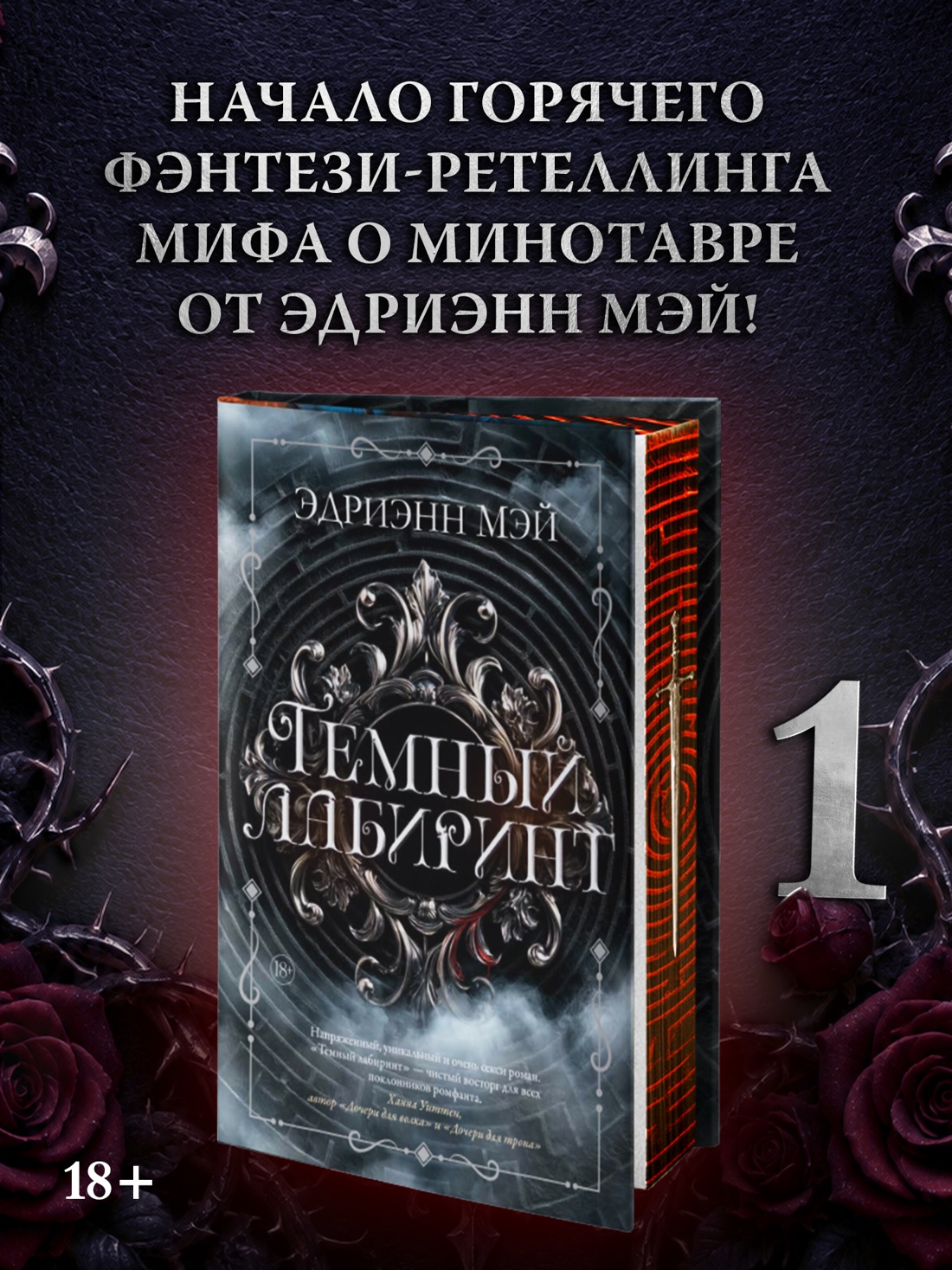 Промо материал к книге "Темный лабиринт. Книга 1" №0