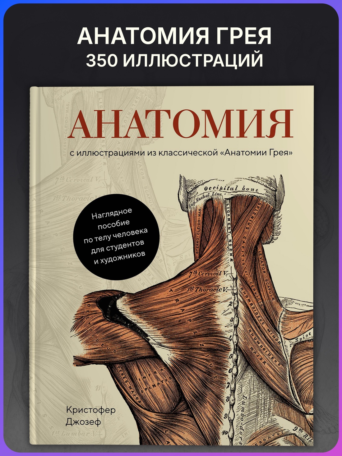 Промо материал к книге "Анатомия" №0