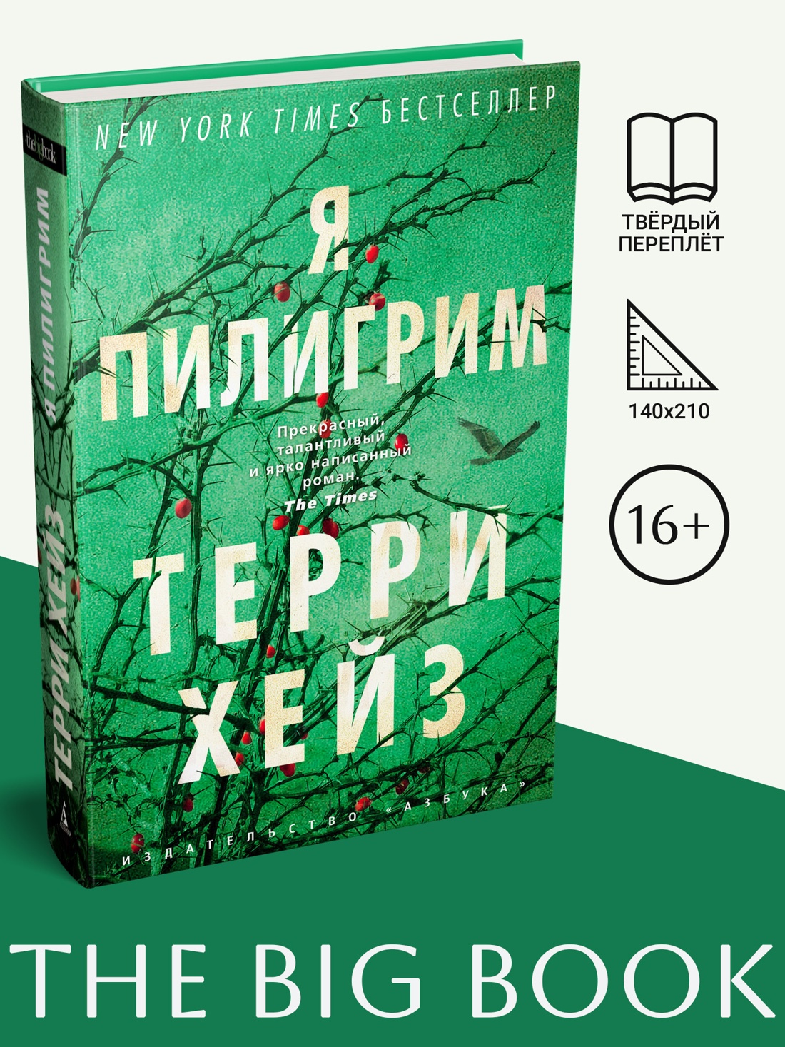 Промо материал к книге "Я Пилигрим (The Big Book)" №0