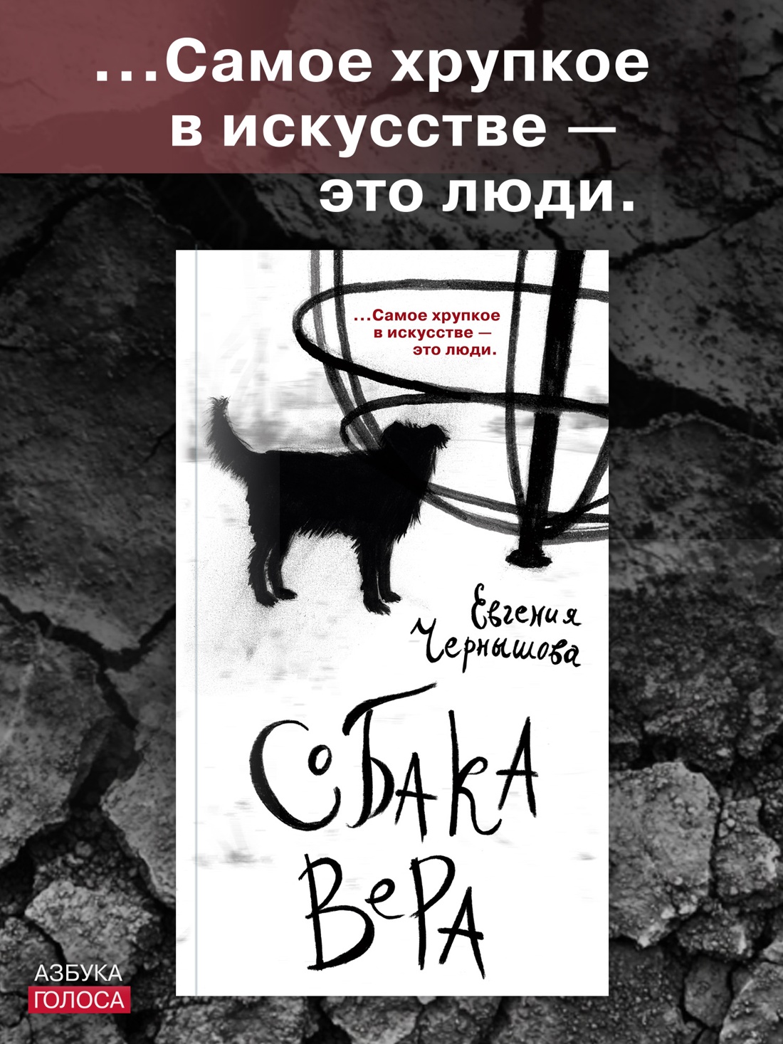 Промо материал к книге "Собака Вера" №0