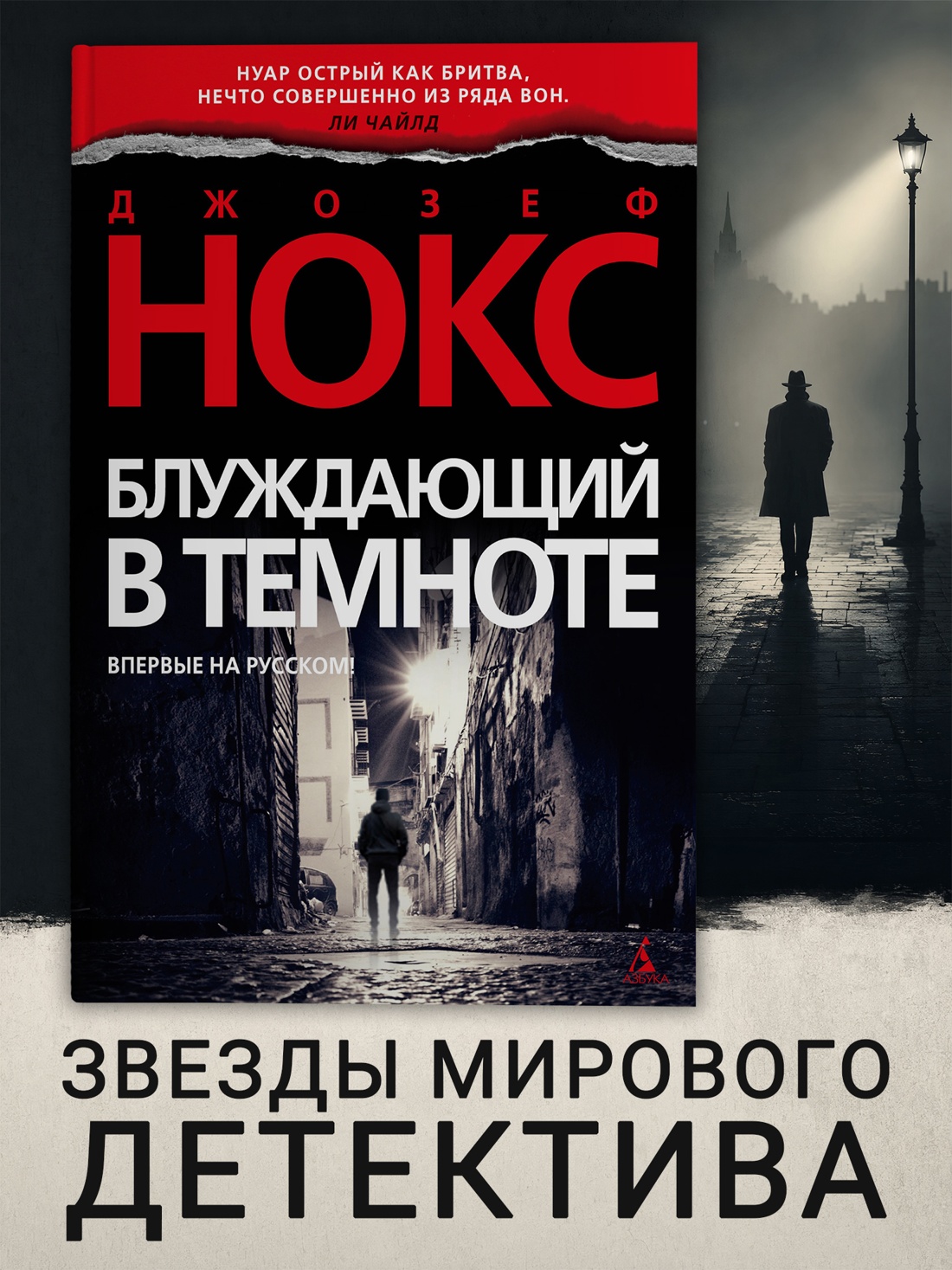 Промо материал к книге "Блуждающий в темноте (твердый)" №0