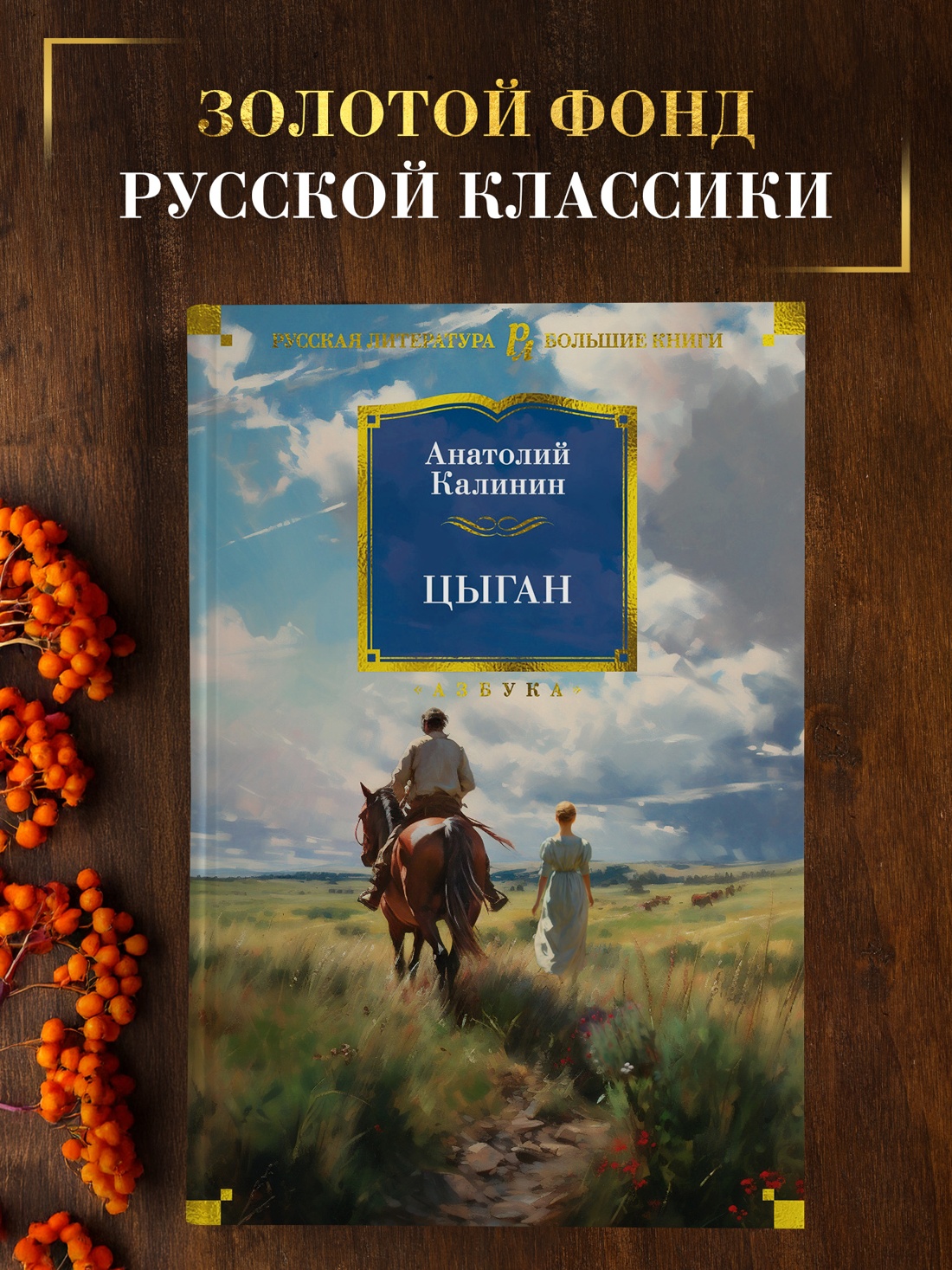 Промо материал к книге "Цыган" №0