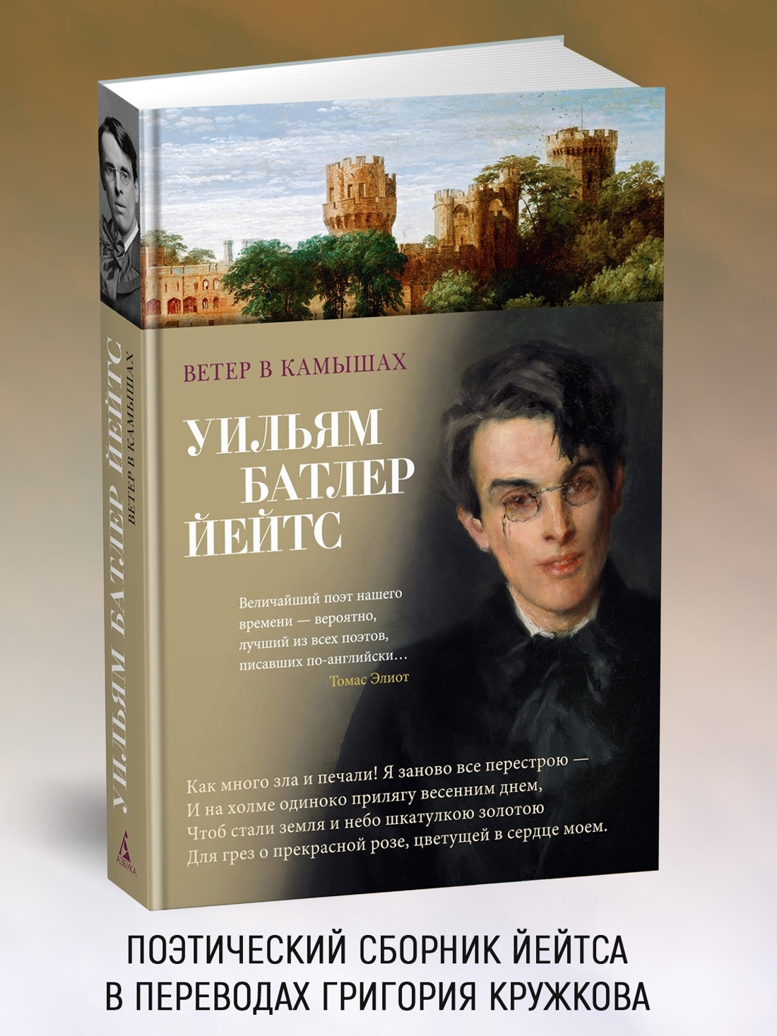 Промо материал к книге "Ветер в камышах" №0