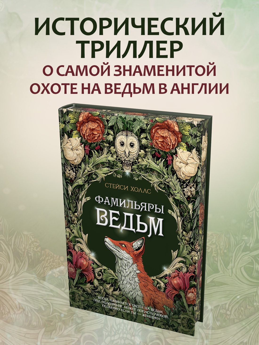 Промо материал к книге "Фамильяры ведьм" №0