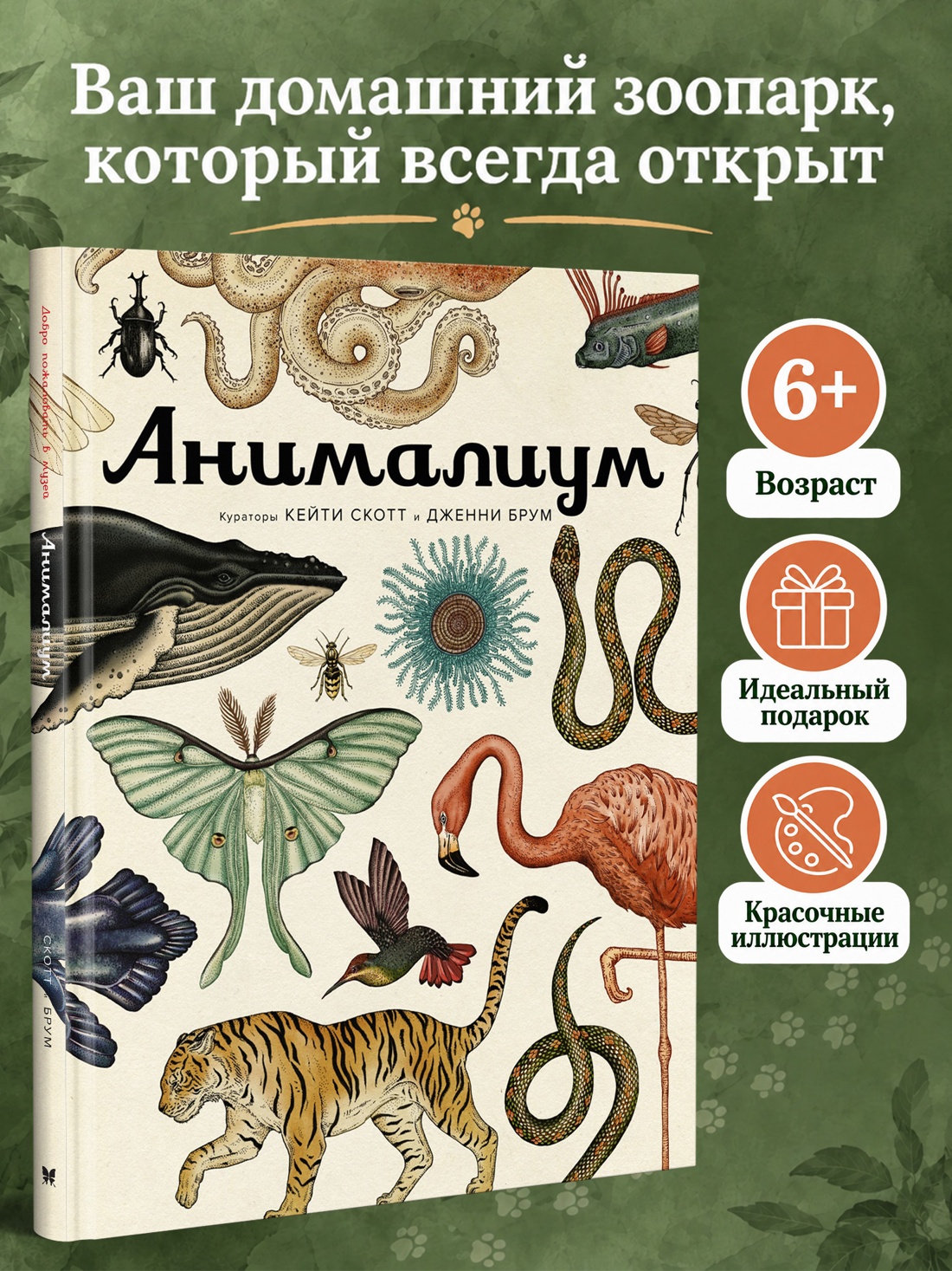 Промо материал к книге "Анималиум" №0