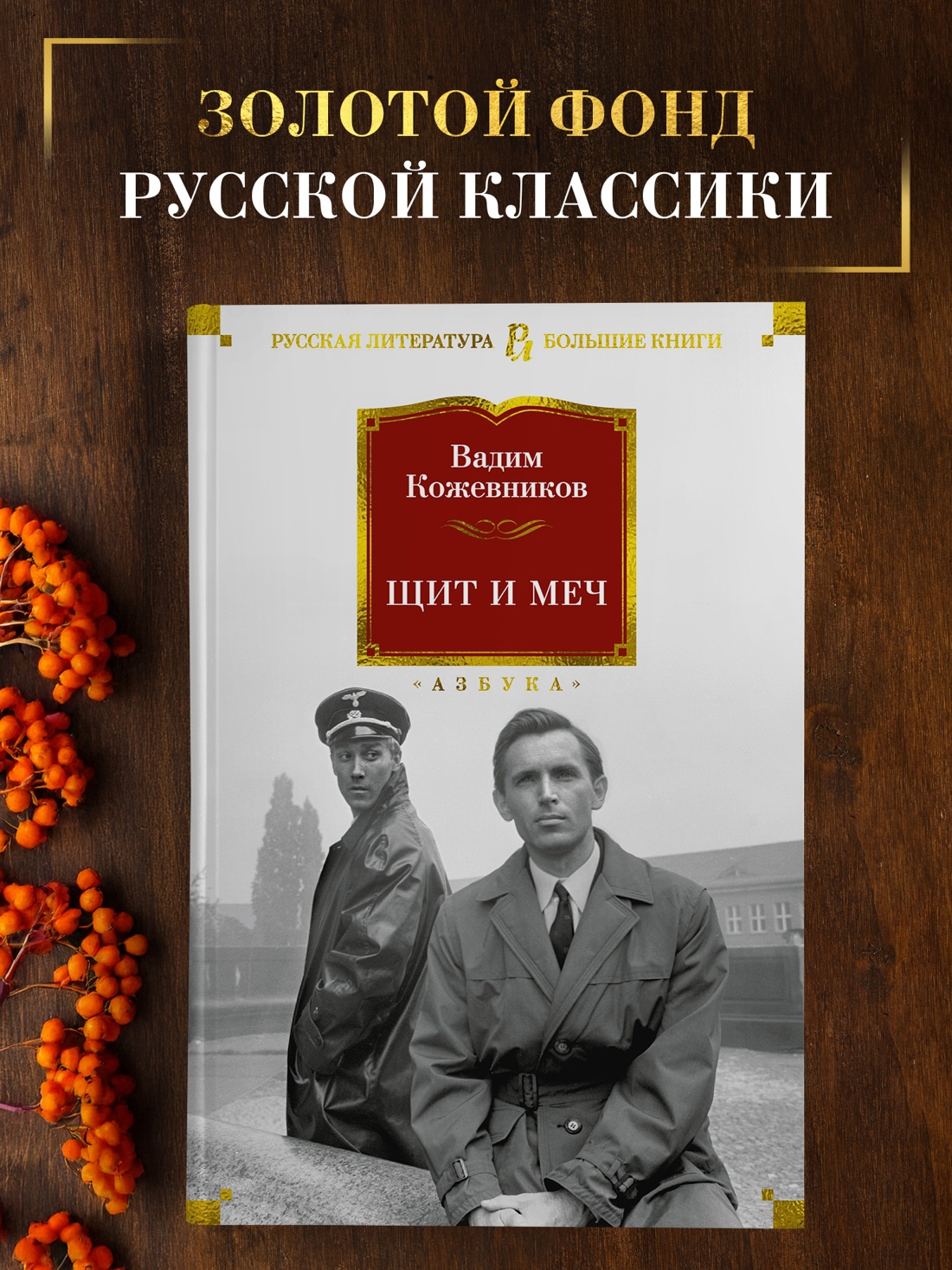 Промо материал к книге "Щит и меч" №0