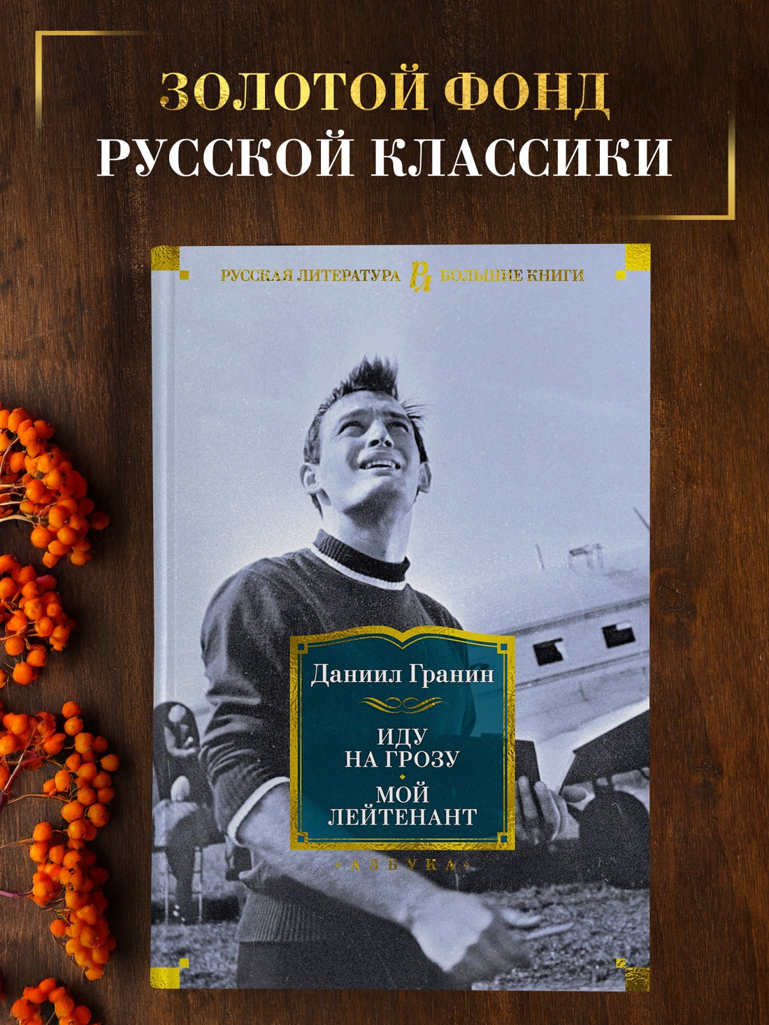 Промо материал к книге "Иду на грозу. Мой лейтенант" №0