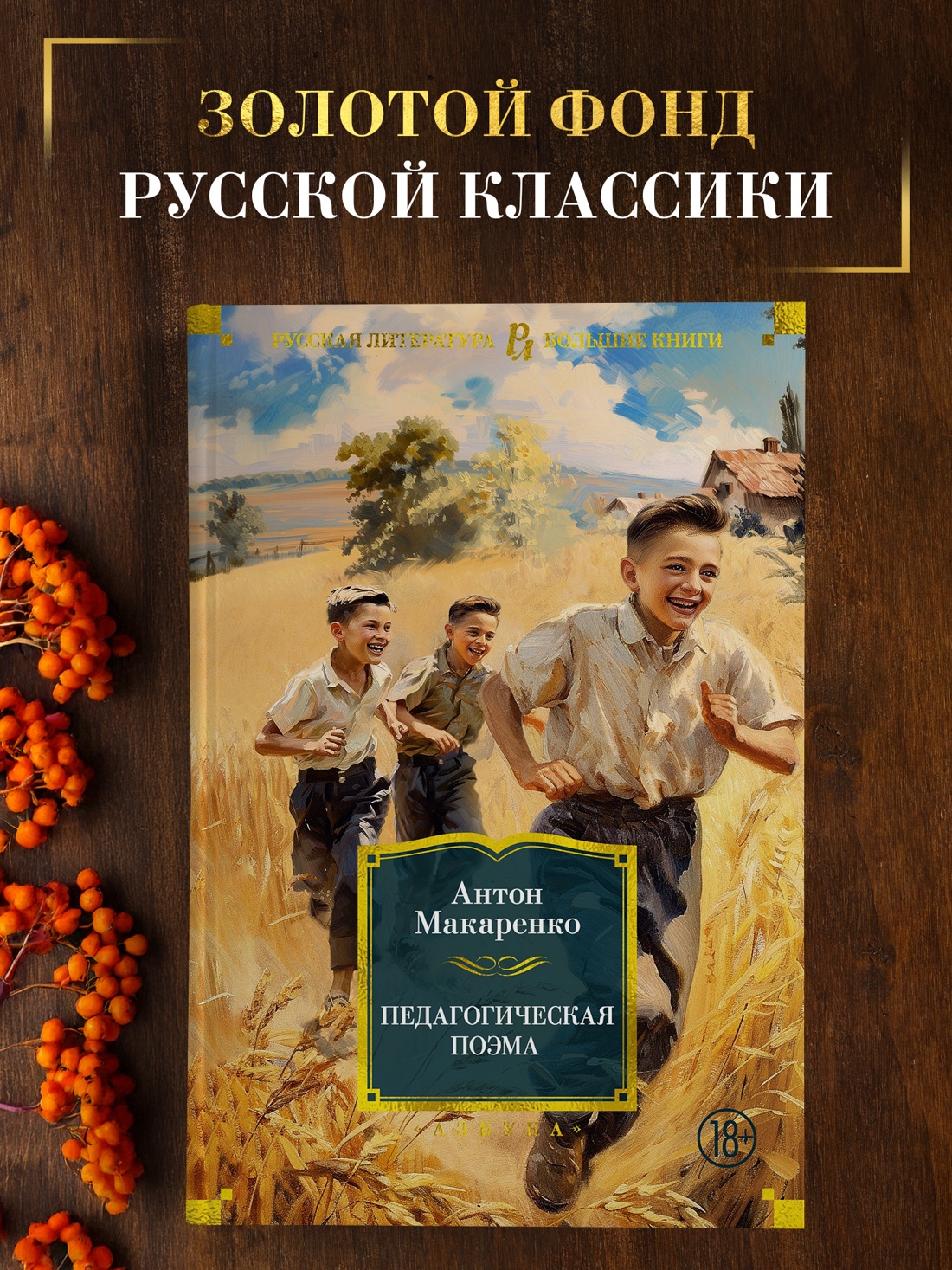Промо материал к книге "Педагогическая поэма" №0