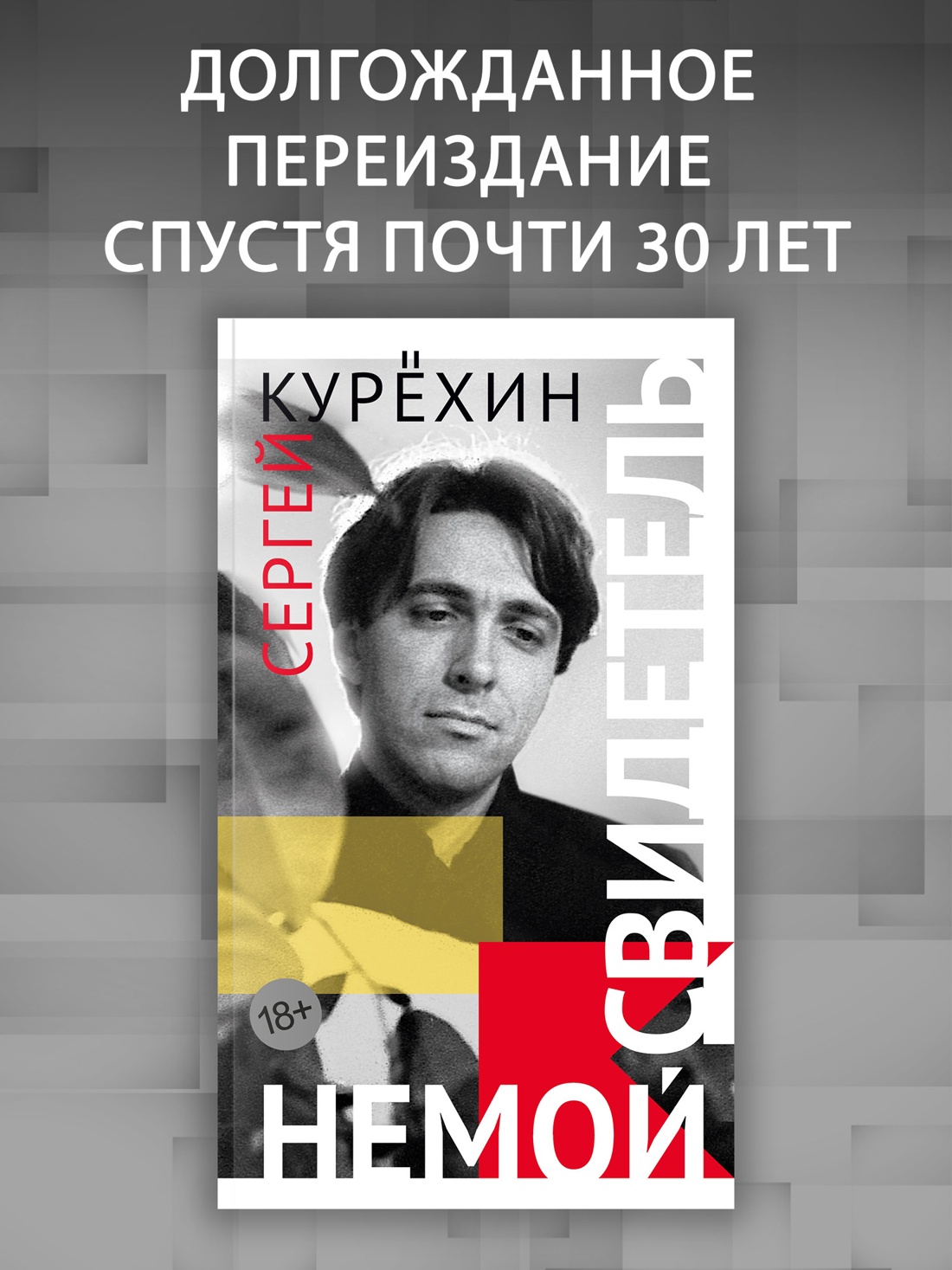 Промо материал к книге "Немой свидетель" №0