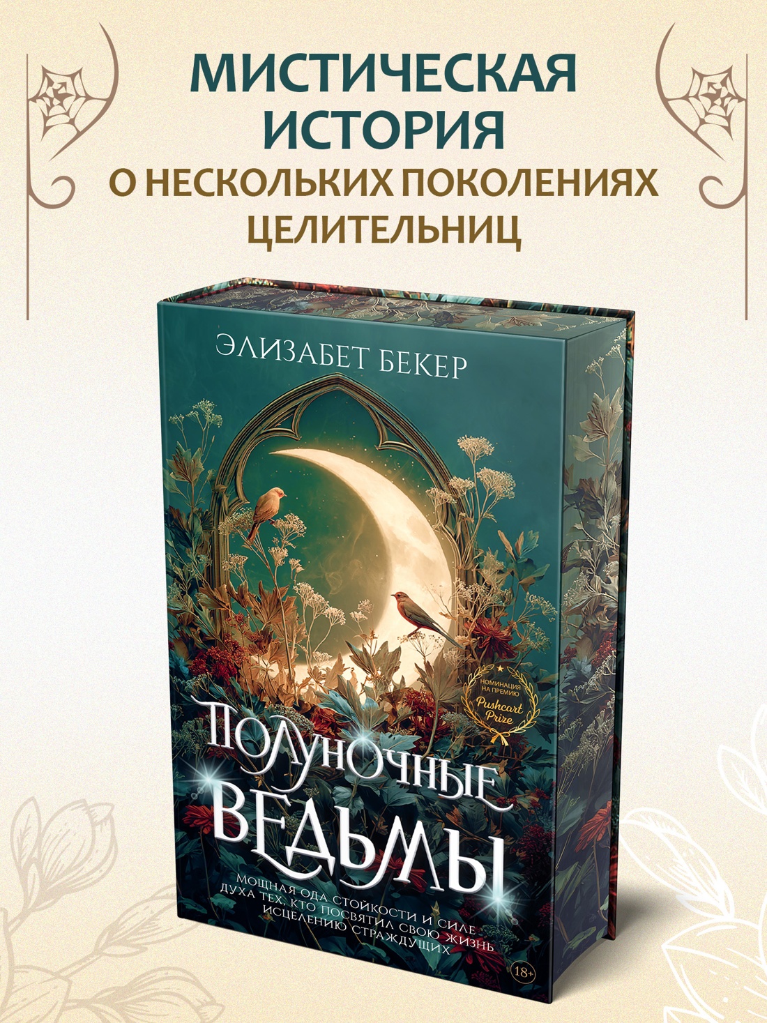 Промо материал к книге "Полуночные ведьмы" №0