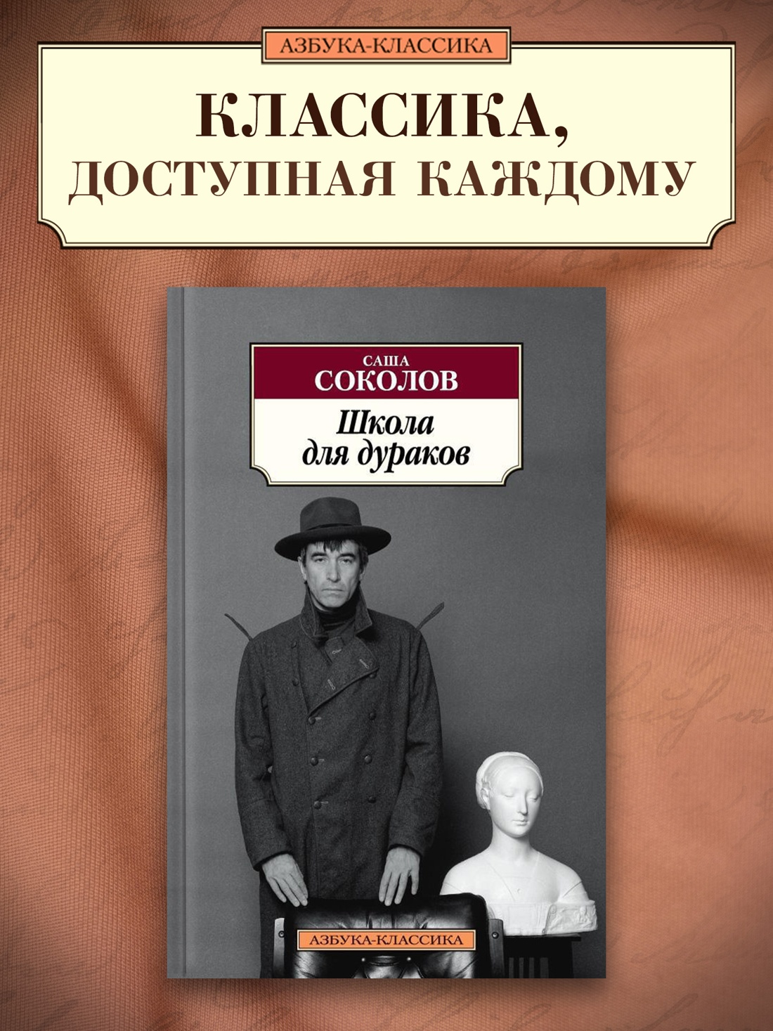 Промо материал к книге "Школа для дураков" №0