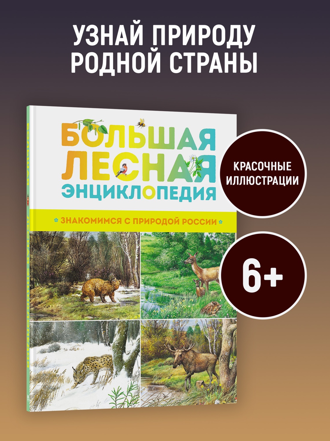Промо материал к книге "Большая лесная энциклопедия. Знакомимся с природой России" №0