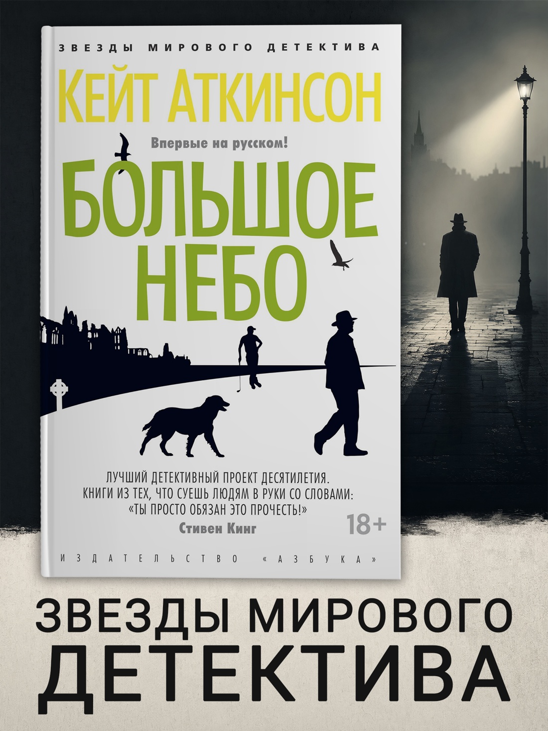 Промо материал к книге "Большое небо (твердый)" №0