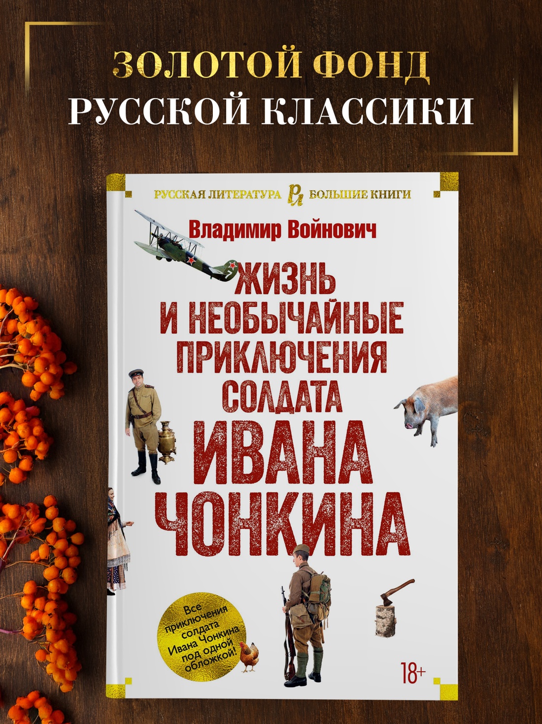 Промо материал к книге "Жизнь и необычайные приключения солдата Ивана Чонкина" №0