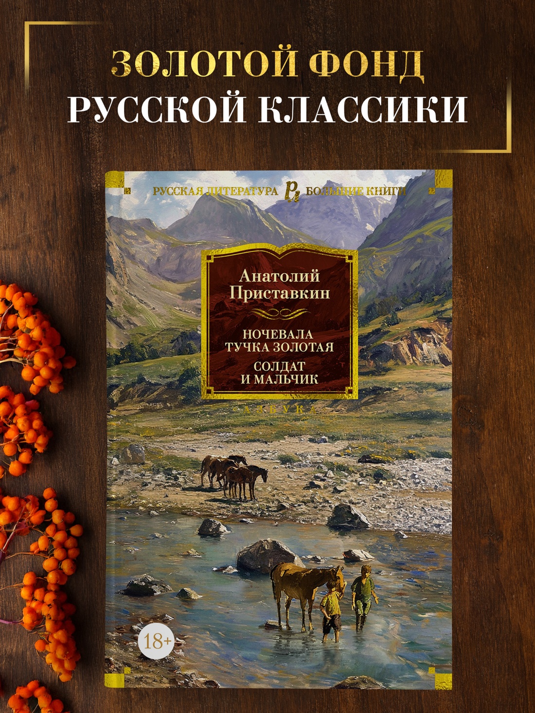 Промо материал к книге "Ночевала тучка золотая. Солдат и мальчик" №0