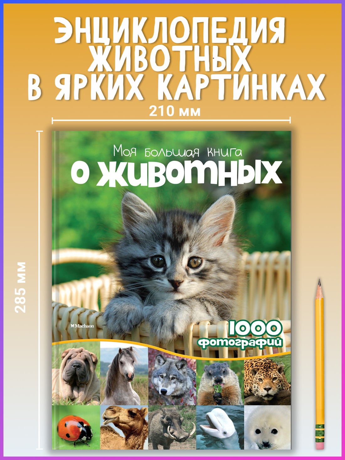 Промо материал к книге "Моя большая книга о животных" №0