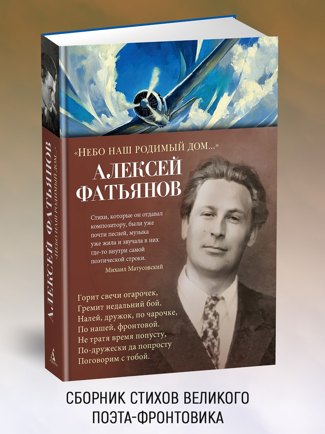 Промо материал к книге "«Небо наш родимый дом...»" №0