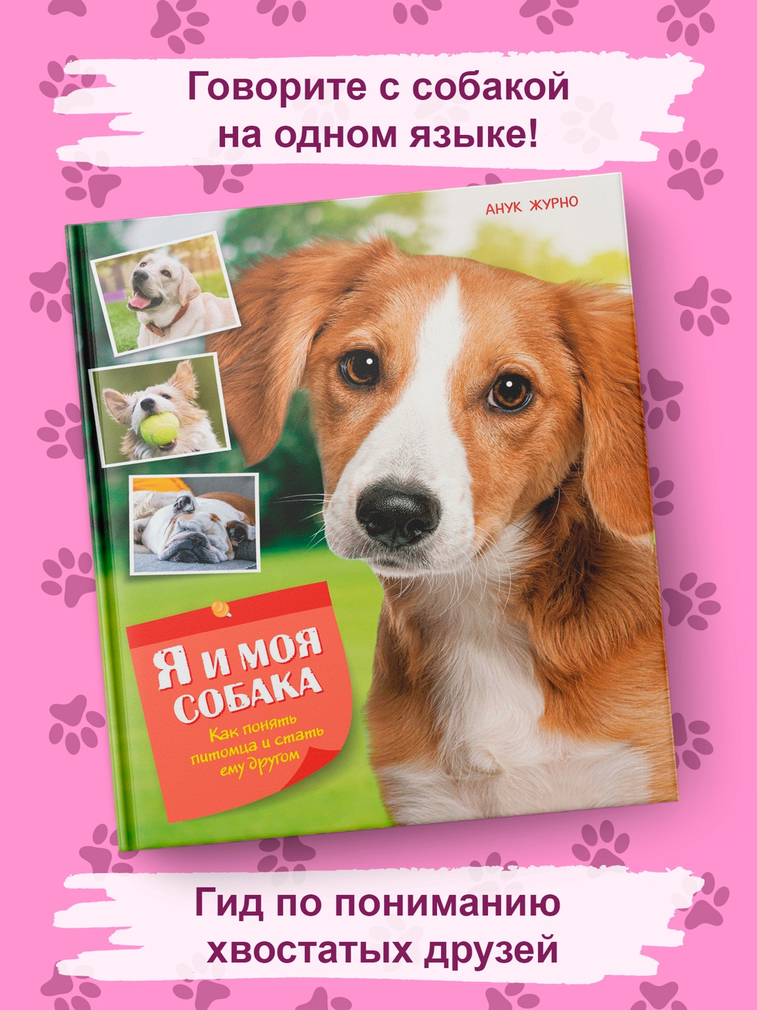Промо материал к книге "Я и моя собака. Как понять питомца и стать ему другом" №0