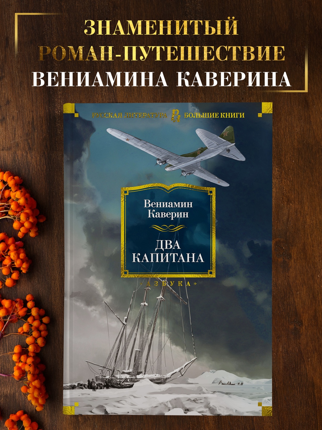 Промо материал к книге "Два капитана (илл. Пётр Луганский и др.)" №0