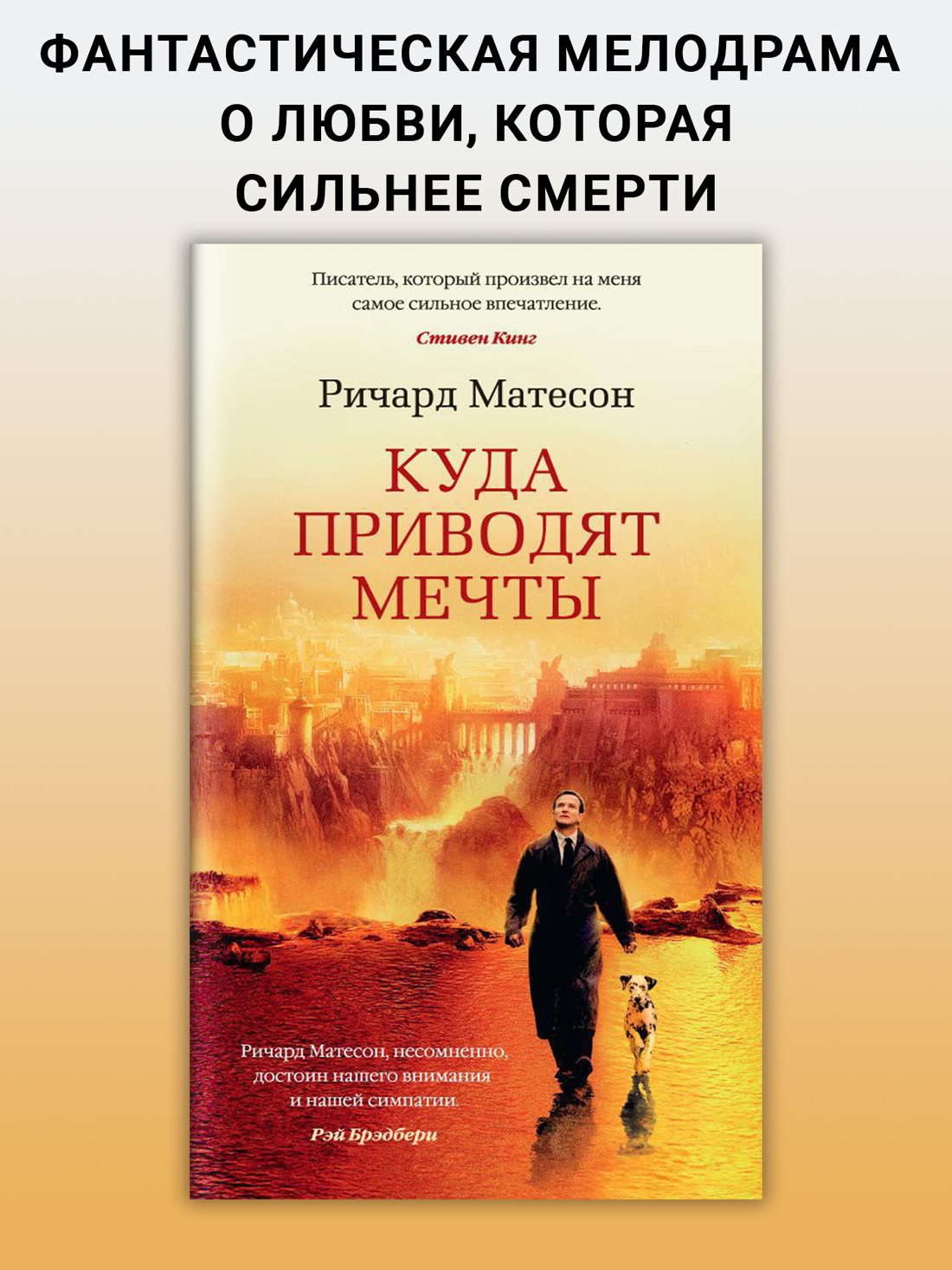 Промо материал к книге "Куда приводят мечты (твердый)" №0
