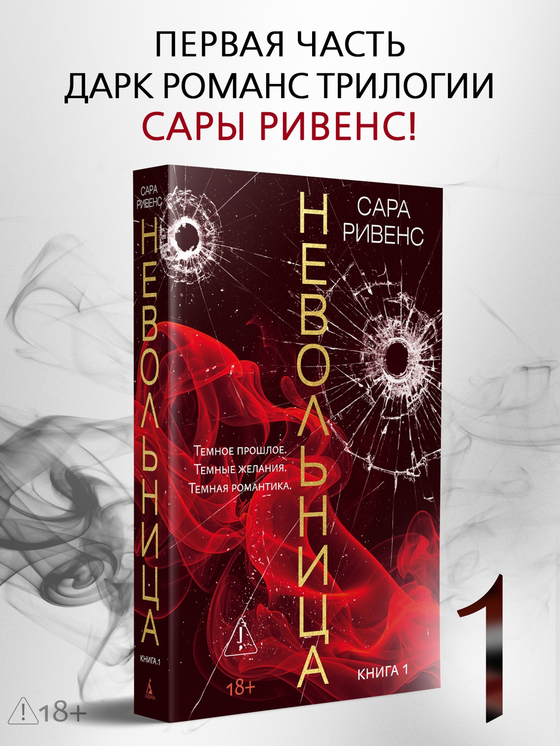 Промо материал к книге "Невольница. Книга 1" №0