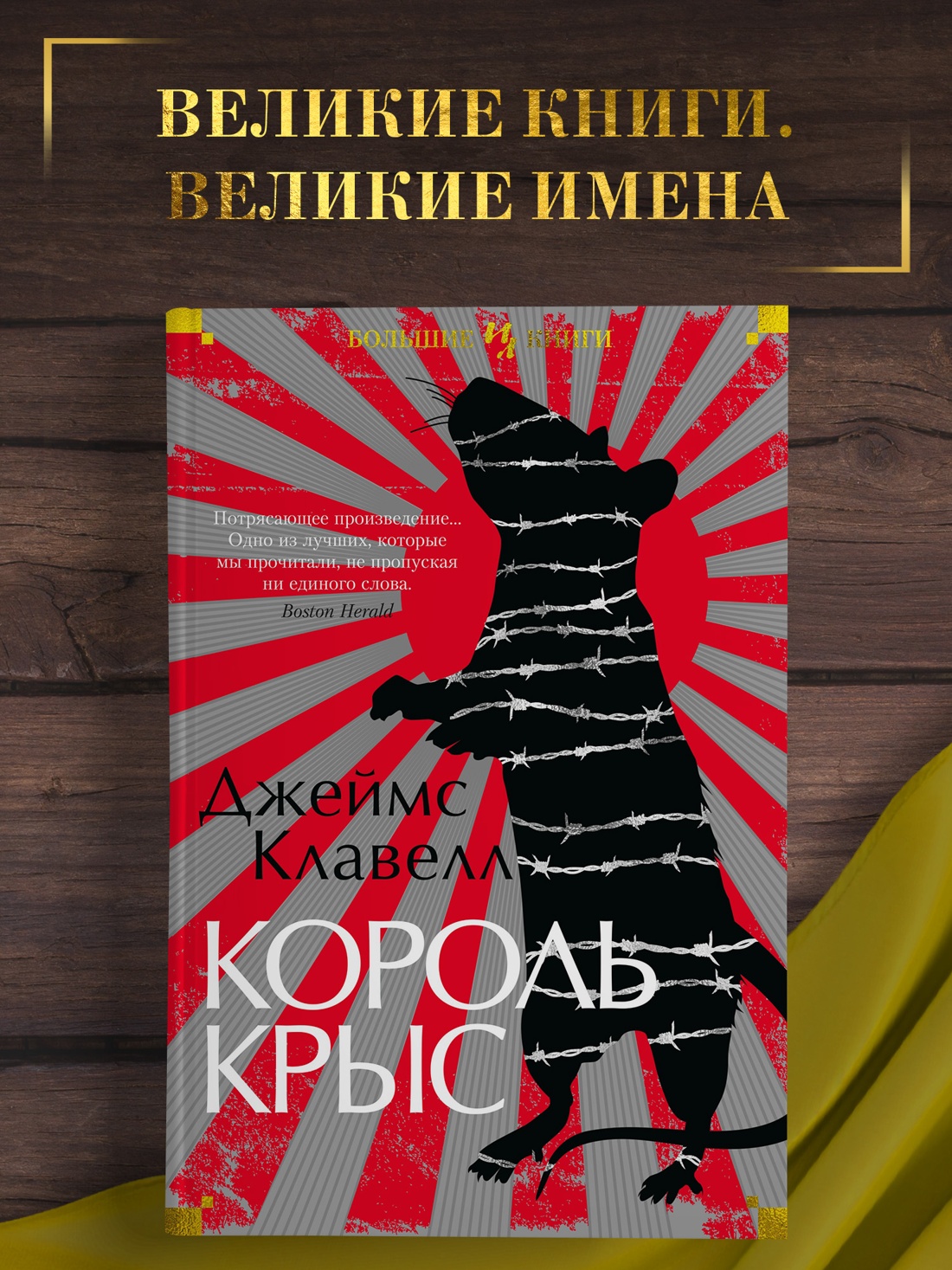 Промо материал к книге "Король крыс" №0